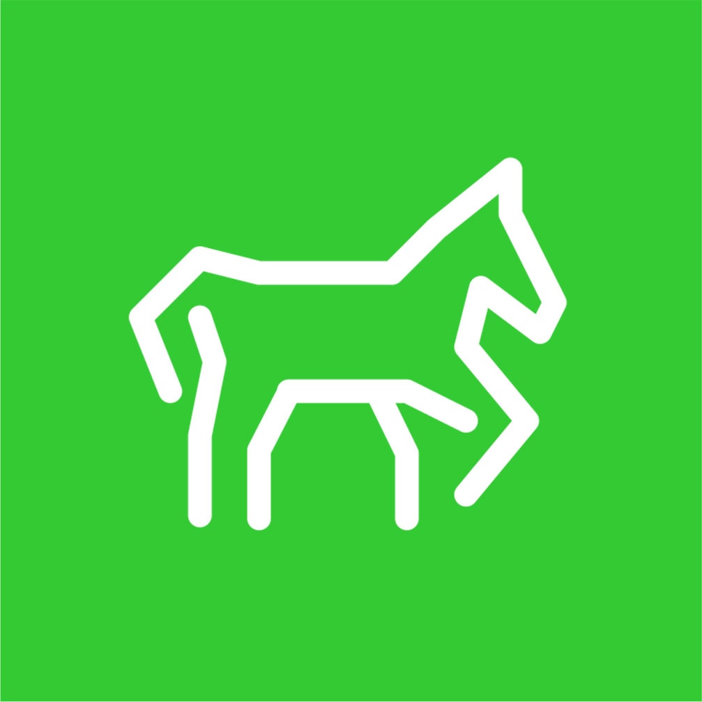 Equine & Horse Equipment